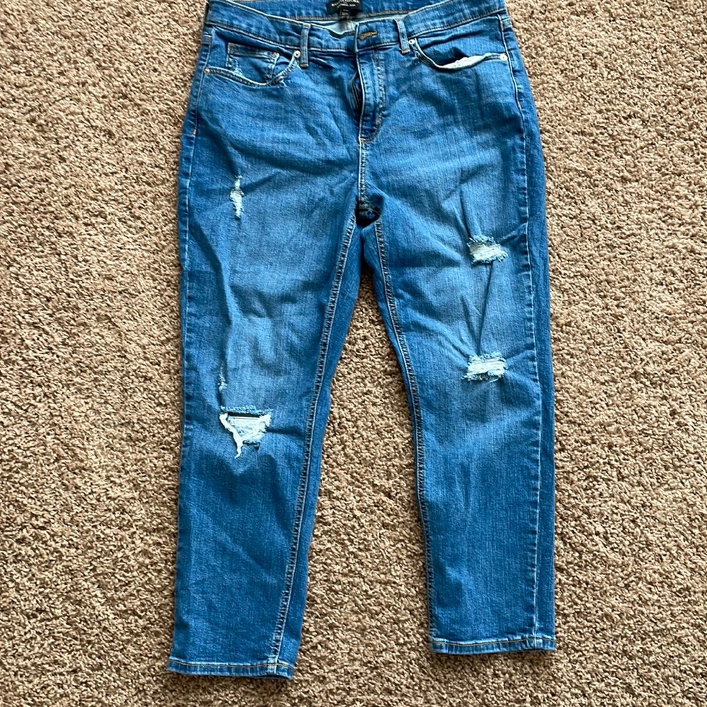 Banana Republic Distressed Girlfriend Jean, size 32P/14P